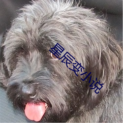 星辰变小说