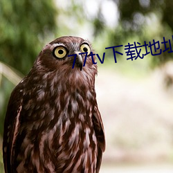 77tv下载地址