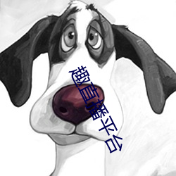 趣直播平台