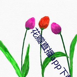 花(花)瓣直播app下载