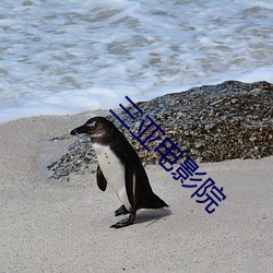 suncitygroup太阳集团--官方网站