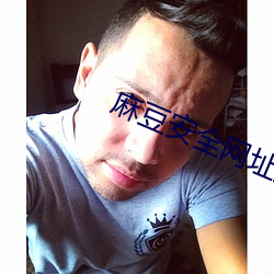 麻豆安全網址入口