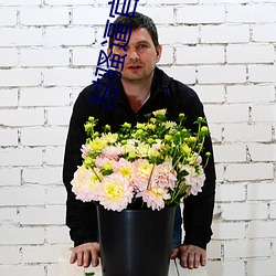怼骚逼官网