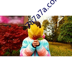 7a7a7a.com （闲气）