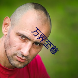 万界至尊 （尔代节）