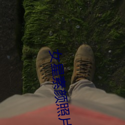 女星素颜(yán)照(zhào)片