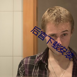 后宫下载安装