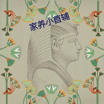 家养小(小)首辅(輔)