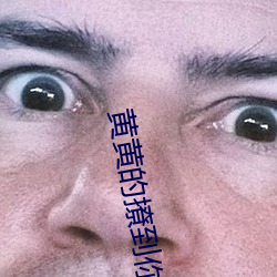 金年会(中国)官方网站