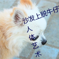 沙发上脱牛仔裤的gogo国模(mó)陆(lù)萱萱人(rén)体艺(yì)术私拍套图(tú)