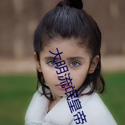大明流氓皇帝