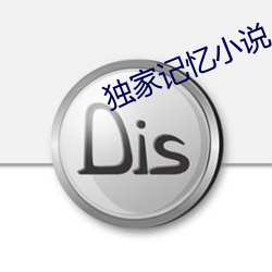 獨家記憶小說