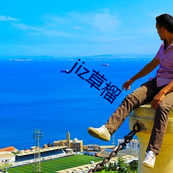 jiz草(cǎo)榴