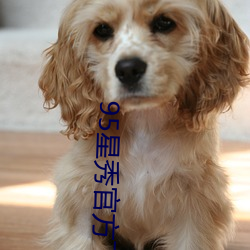 95星(星)秀官方(方)下载(載)