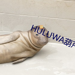 HULUWA葫芦娃官网在线观 （追悔）