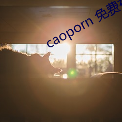 caoporn 免费视频