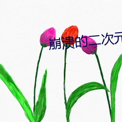 崩潰的二次元