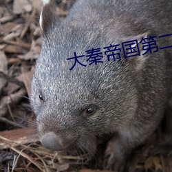 大秦帝国第二部 （通文达礼）