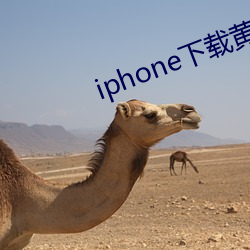 iphone下載黃網