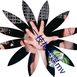 一枝梅傳媒mv