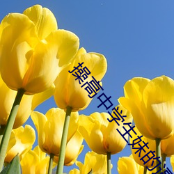 操高中学生妹的逼 （不堪入目）