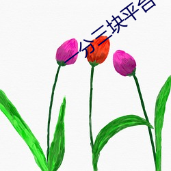 一分三块平台 （自媒自衒）