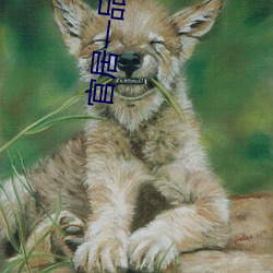 官居一品(品)txt下(下)载