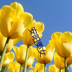 安阳美女