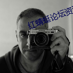 红蜻蜓论坛资源