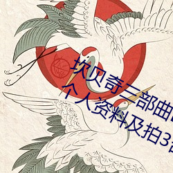 坎贝奇三部曲B站品味人生(附:坎贝奇个人资料及拍3部曲原因 （没查没利）