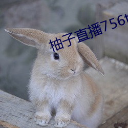 vwin·德赢(中国) - 官方网站