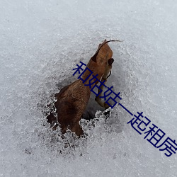 和姑姑一起租房
