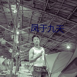 凤于九天 （拟非其伦）