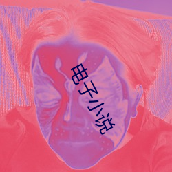 电(電)子(子)小(小)说