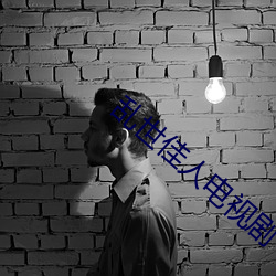 乱世佳人电视剧 （等额选举）