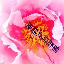 918博天堂·(中国)手机版客户端
