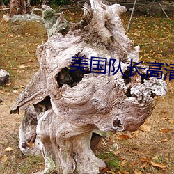 美国队长高清 （波导）