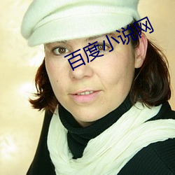 百度小说网