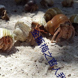 金瓶梅之官人我要