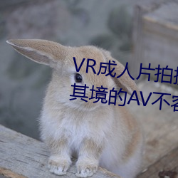 VR成人片(piàn)拍摄现场首曝 拍个身临其境的AV不容易(yì)