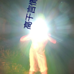 高干言情小说 （转嫁）