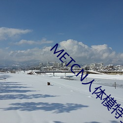 METCN人体模特全部专辑 （开口饭）