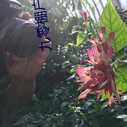 九零棚户人家 ��电影摄影机��