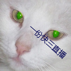 一份快三直播