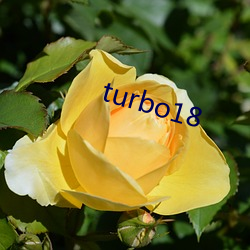 turbo18