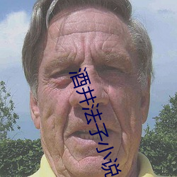 酒井法子(子)小说