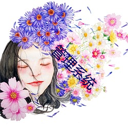 管理系统