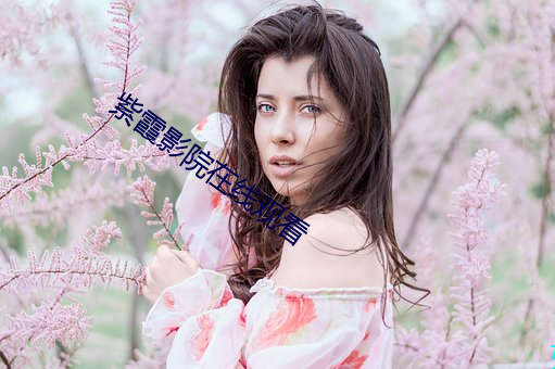 紫霞影院在线观看