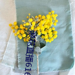 浪花直播616tv下载