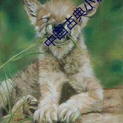 中国古典小说
